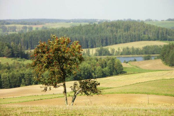 Hotel na Suwalszczyźnie